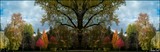 totem